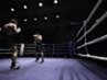 10-day-of-the-fight-39