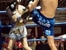 dsc02989