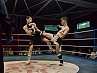 gfc_hg_17-333