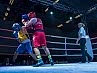 dayofthefight2018_062