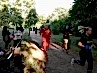 2-city-abendlauf-19