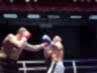 8-day-of-the-fight-63